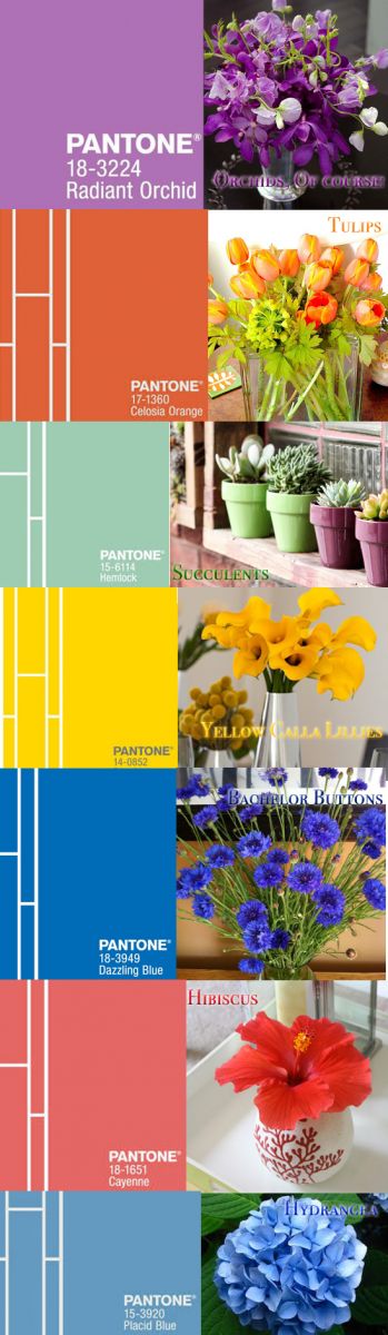 Mother's Day Pantone Flower Color Guide 