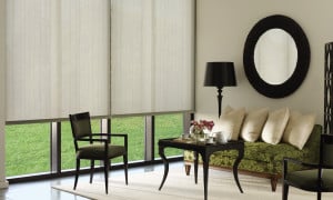 Designer Roller Shades offer high-tech features and advanced customization including a wireless operating system perfect for large windows.
