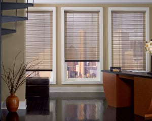 Designer Roller Shades offer the ideal balance of light and privacy, the perfect window treatment for an office.